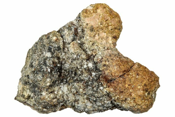 Howardite Meteorite ( g) - Bechar #348295